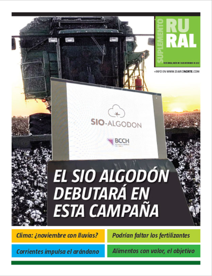 El SIO algodón debutará en esta campaña