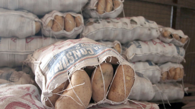La cooperativa frutihortícola asegura que "los precios se están normalizando"