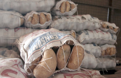 La cooperativa frutihortícola asegura que "los precios se están normalizando"