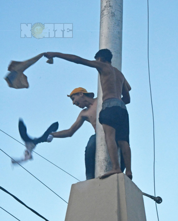 Foto: Marcelo "Sapo" Cáceres.