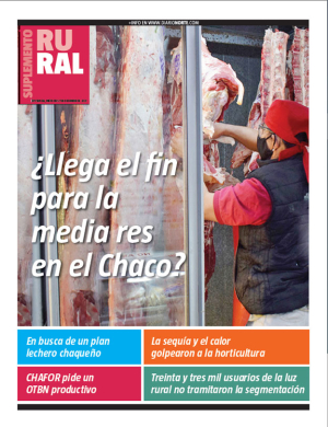 ¿Llega el fin para la media res en el Chaco?
