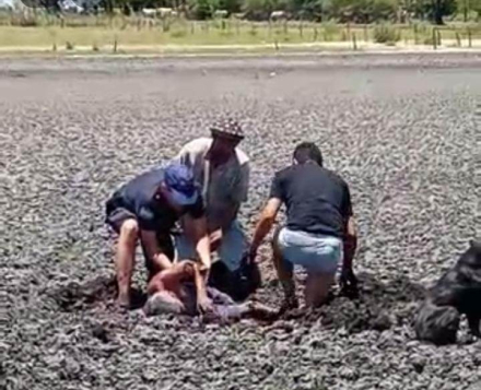 rescate2.jpg
