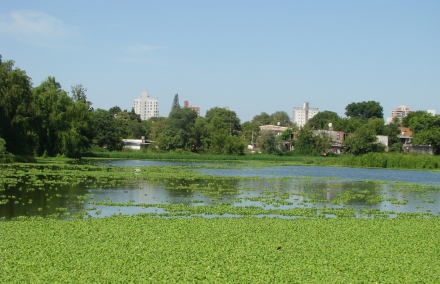 calor paisaje.JPG