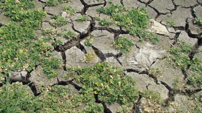 Después del quinto diciembre más cálido en 60 años, se espera un verano infernal