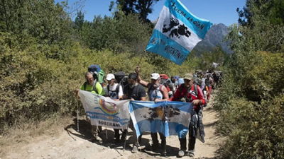 Que el árbol no tape al bosque