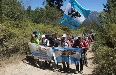 Que el árbol no tape al bosque