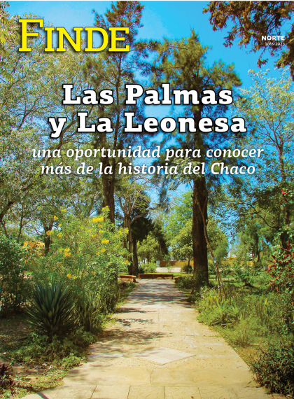 Las palmas y La Leonesa: una oportunidad para conocer más de la historia del Chaco