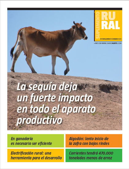 La sequía deja un fuerte impacto en todo el aparato productivo
