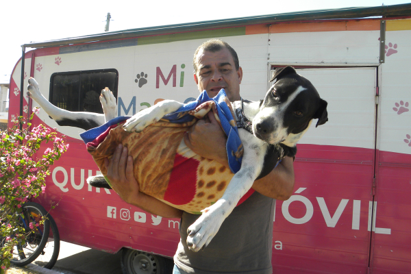 El programa “Mi Mascota” ya logró más de 27.000 esterilizaciones