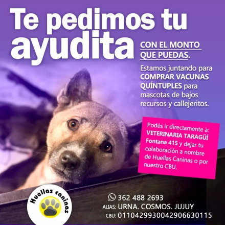 WhatsApp Image 2023-03-27 at 20.16.28 (1).jpeg