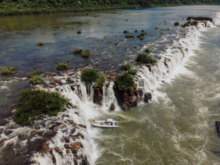 selva mocona.jpg