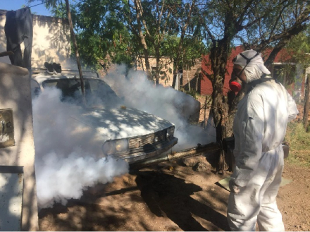 fumigacion.jpg