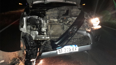 Du Graty: accidente por animales sueltos casi provoca una tragedia