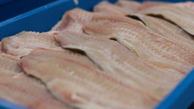 El frigorífico de Las Palmas está habilitado para exportar pacú a los Estados Unidos