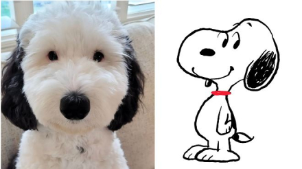 Snoopy perrita.JPG
