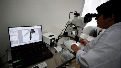 La curva de casos de dengue se mantiene ascendente
