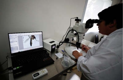 La curva de casos de dengue se mantiene ascendente