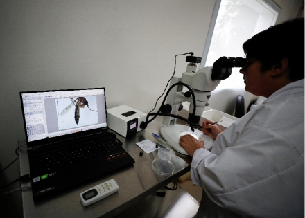 laboratorio dengue.jpg