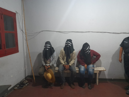 narco.jpg