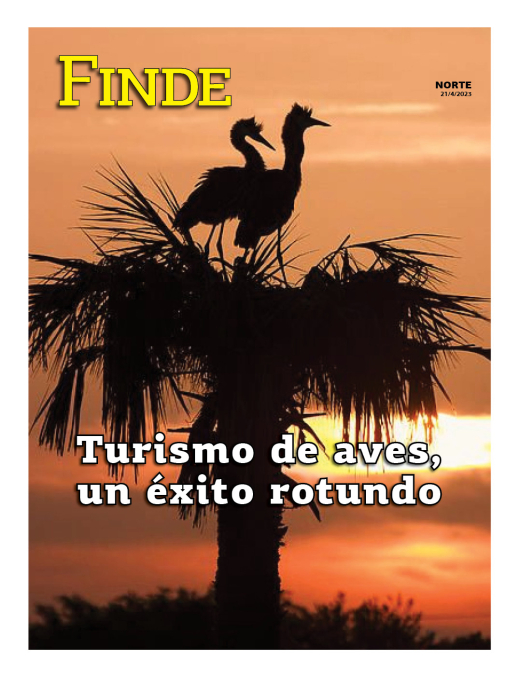 Turismo de aves, éxito rotundo
