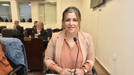 diputada.jpg