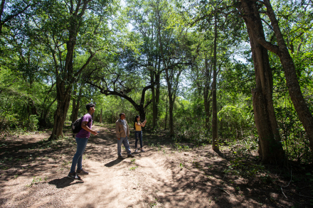 Caminata bosque-Chaco-Gran Chaco-Argentina.jpg