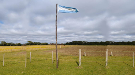 copla.jpg