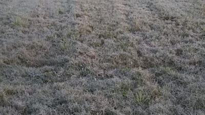 El frío se sintió en el interior chaqueño con las primeras heladas
