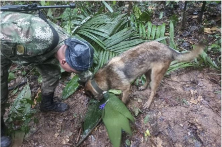 perro colombia 2.JPG