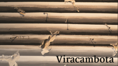 Este viernes se presenta el libro Viracambota. Chamamé, canción política