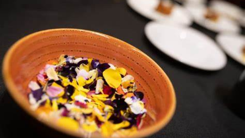 Una provincia argentina fue presentada como Capital Iberoamericana de la Armonía Gastronómica