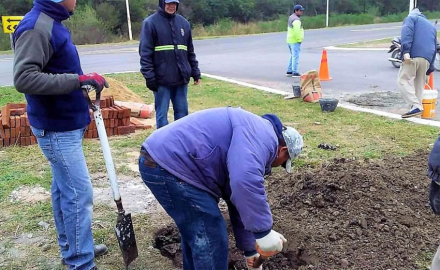 cabalgata2.jpg