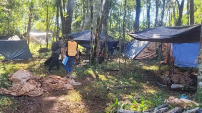 Detectaron explotación laboral y menores trabajando en yerbales de Misiones