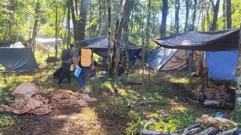 Detectaron explotación laboral y menores trabajando en yerbales de Misiones