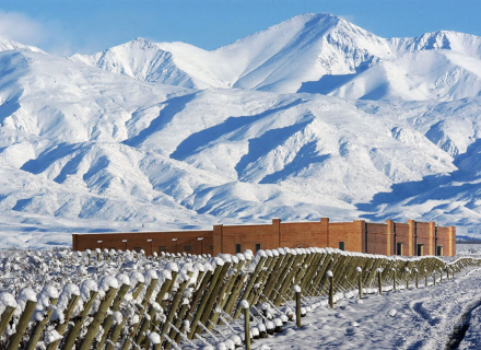 Mendoza.jpeg