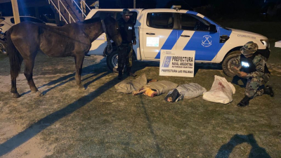 Abandonan un equino y bolsas con vacuno faenado