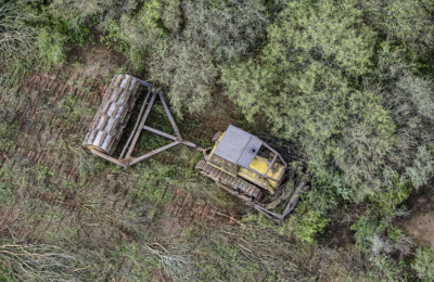 El Chaco argentino perdió más de 50.000 hectáreas de bosque en el primer semestre de 2023