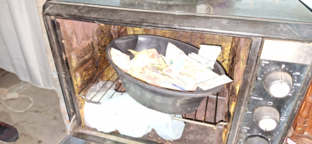 horno plata.jpeg