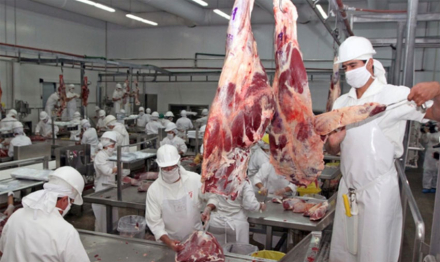 carne.jpg