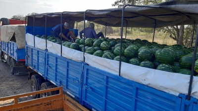 Con 28.000 kilos a Buenos Aires comenzó la temporada de sandías