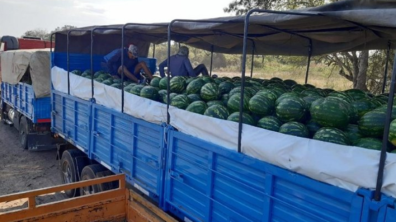 Con 28.000 kilos a Buenos Aires comenzó la temporada de sandías