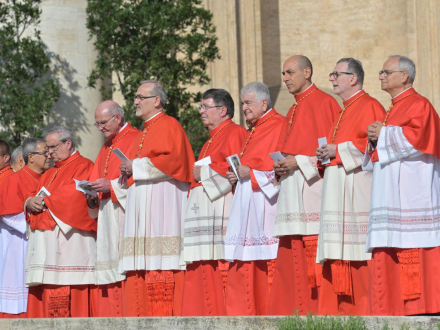 cardenales-papa-francisco_5677252_20230930110559.jpg
