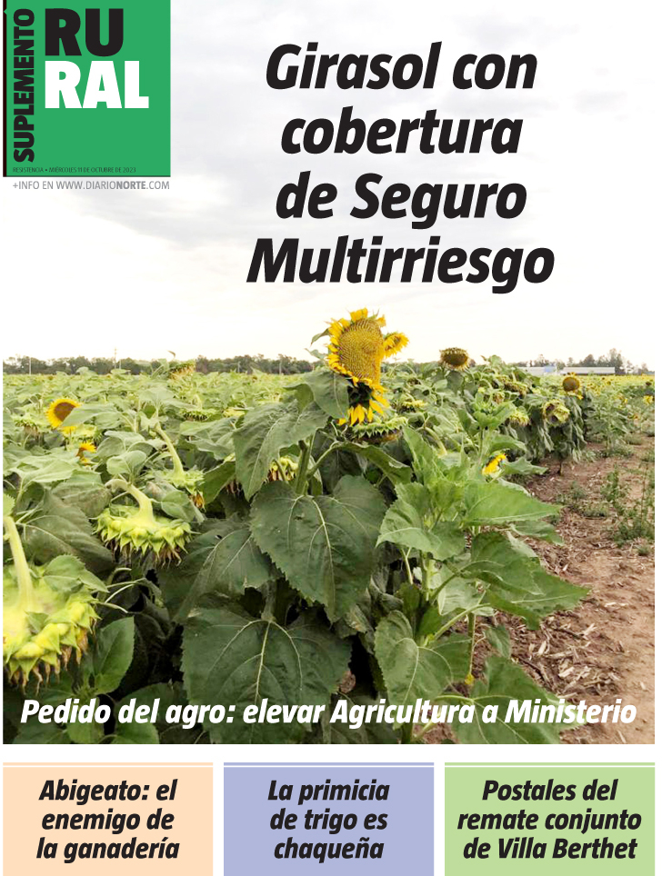 Girasol con cobertura de Seguro Multirriesgo