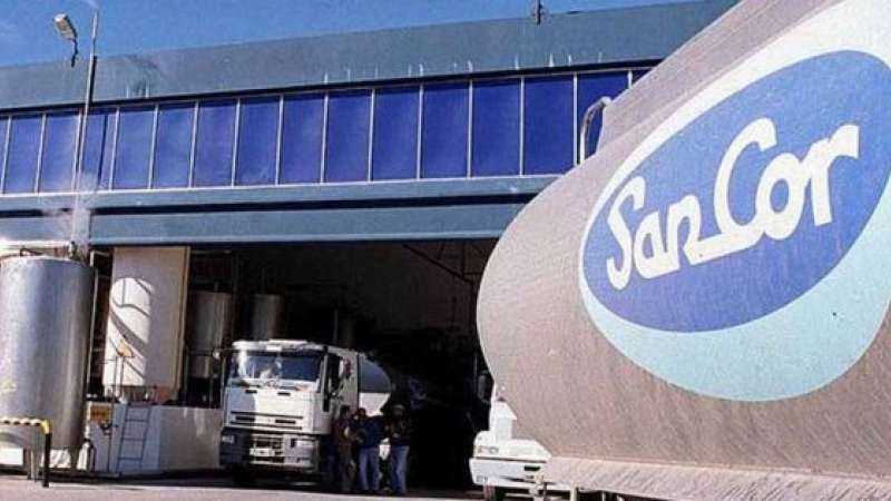 Conflicto salarial en SanCor complica producción y advierten por descarte de leche