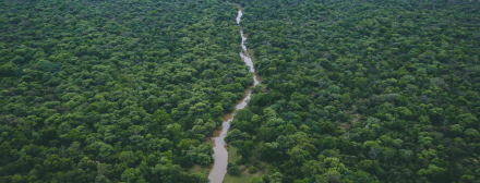 parque impenetrable.jpg