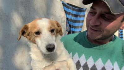 Tristeza en las redes: murió el "perrito malvado" de TikTok