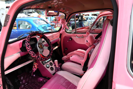 06-11-2023_mas_de_600_autos_fiat (5).jpg