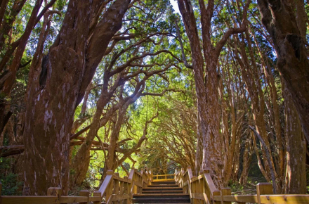 sendero1.jpg