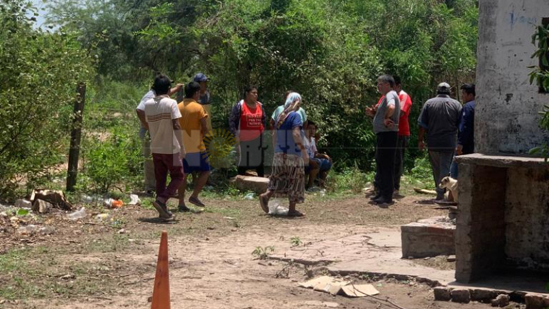 Tragedia en una escuela de Pompeya: murió una nena al caer de un árbol