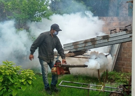 dengue3.jpg